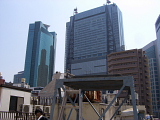 1039.jpg