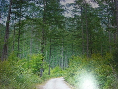 141.jpg