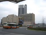 630.jpg