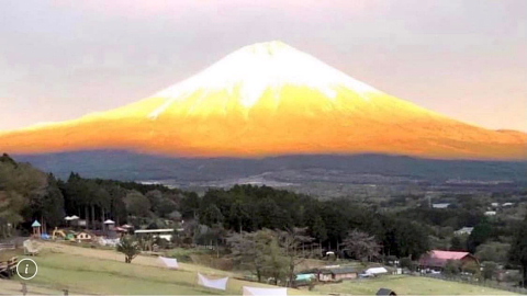 kinnnnu1.jpg