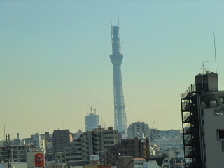 3193.jpg