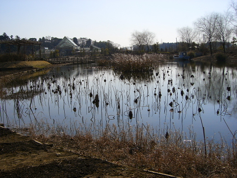dc021212.jpg