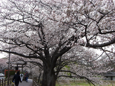 dc032918.jpg