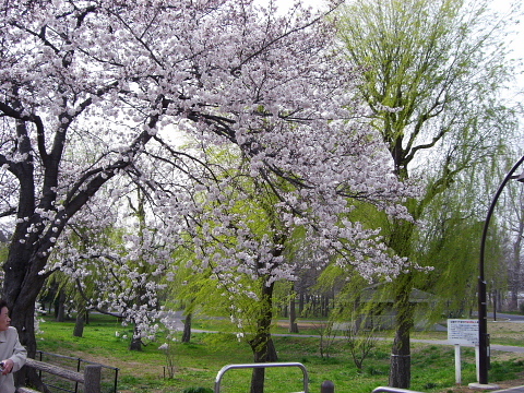 dc032919.jpg