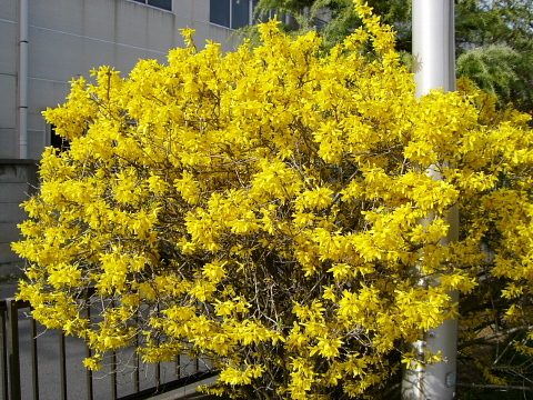 dc032923.jpg
