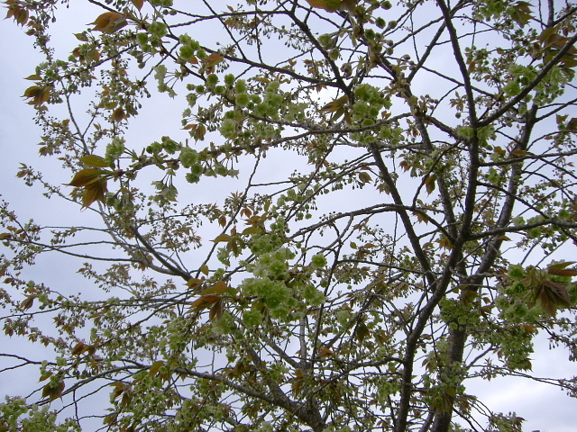 dc042522.jpg