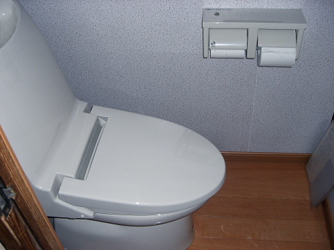 dc051110.jpg