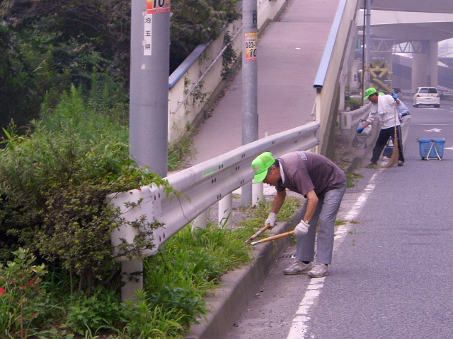 dc080614.jpg