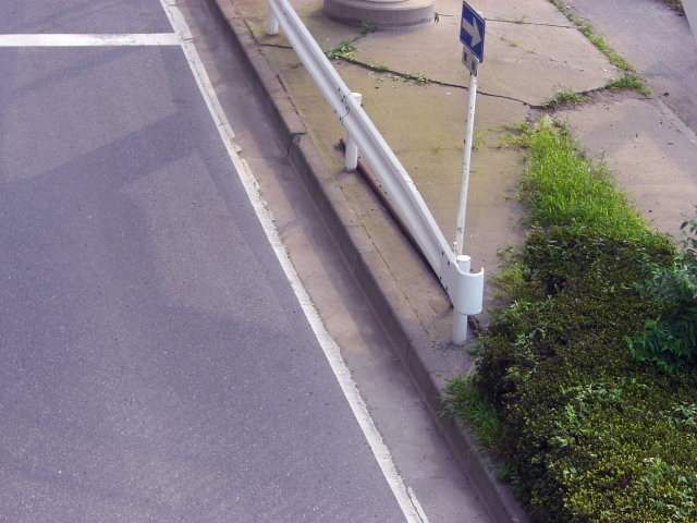 dc080624.jpg