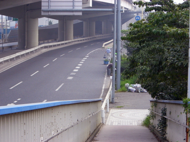 dc080626.jpg