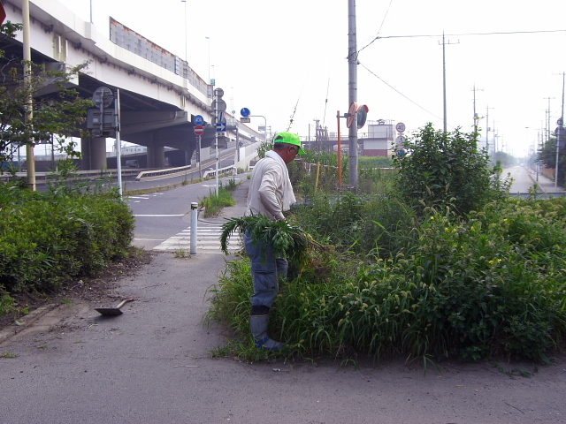 dc080632.jpg