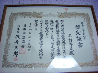 dc112501.jpg