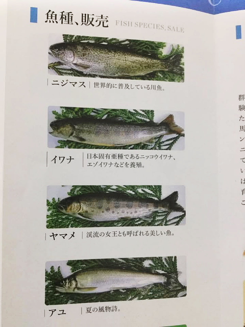 hakosi7.jpg