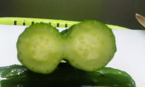kyu3.jpg