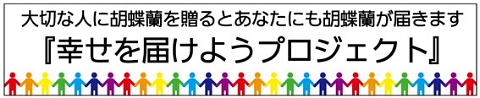 rannyaya4.jpg