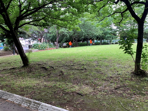 suwa6.jpg