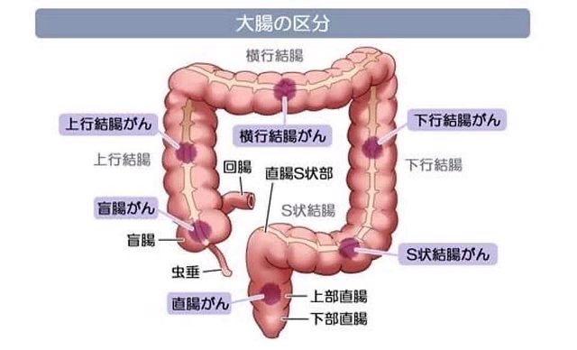 tainaiii6.jpg