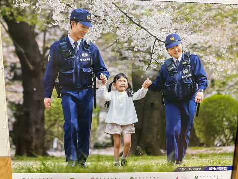 teha1.jpg